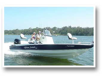 Offshore Animal Too Fishing