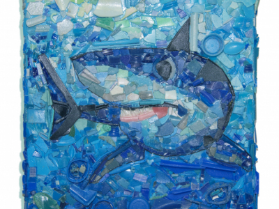 2017-Plastic-Portraits-Mako-Shark-IGFA-auction-2018-175