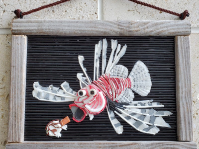 2019-Lionfish
