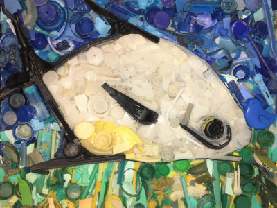 2019-Plastic-Portraits-Permit-gave-to-Costa-for-fundraiser-sold-for-500