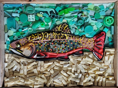 2020-Brook-Trout