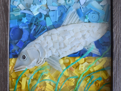 2021-Bonefish-in-Frame-part-of-Inshore-Grand-Slam-240