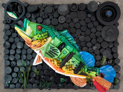 2022-Peacock-Bass