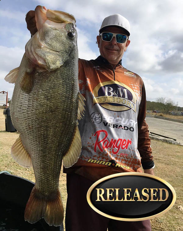 Bass