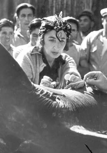 Francesca Lamonte examining a fish