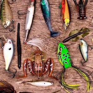 IGFA Rules Rigs, Live Baits, Baits, Lures. - The Fishing Website