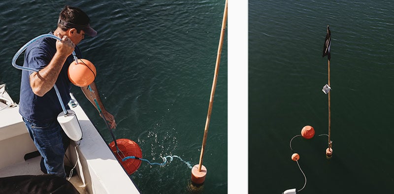 Proposed Gulf of Carpentaria gillnet ban unviable for business, commercial  fishers warn - ABC News