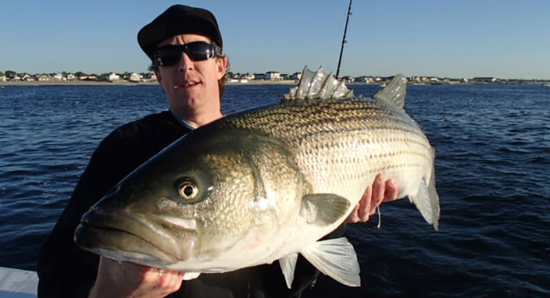 Conrads/Slopeheads - Striper Talk Striped Bass Fishing