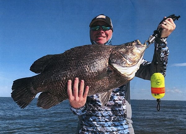 State Record Atlantic Tripletail Certified - Fishing Reports, News