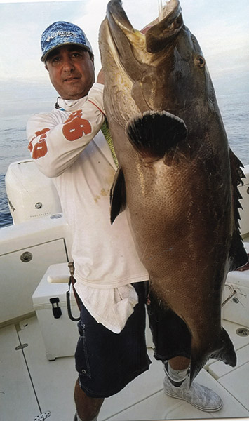 MASSIVE Record Size Tripletail Fish 