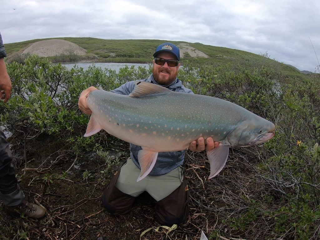 arctic char from Matthew Allen newly approved records October