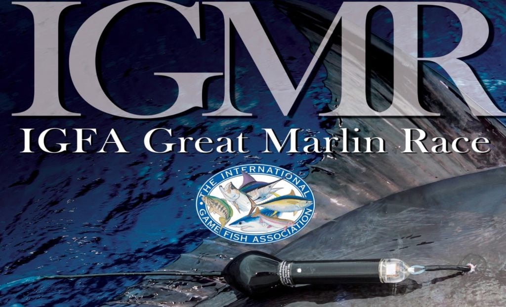 IGFA Great Marlin Race