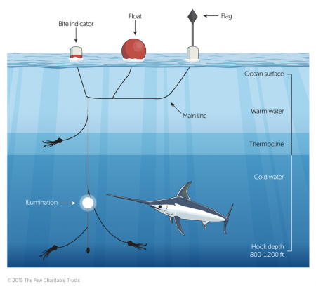 Deepsea long-line gear for fishing high-valued fish species