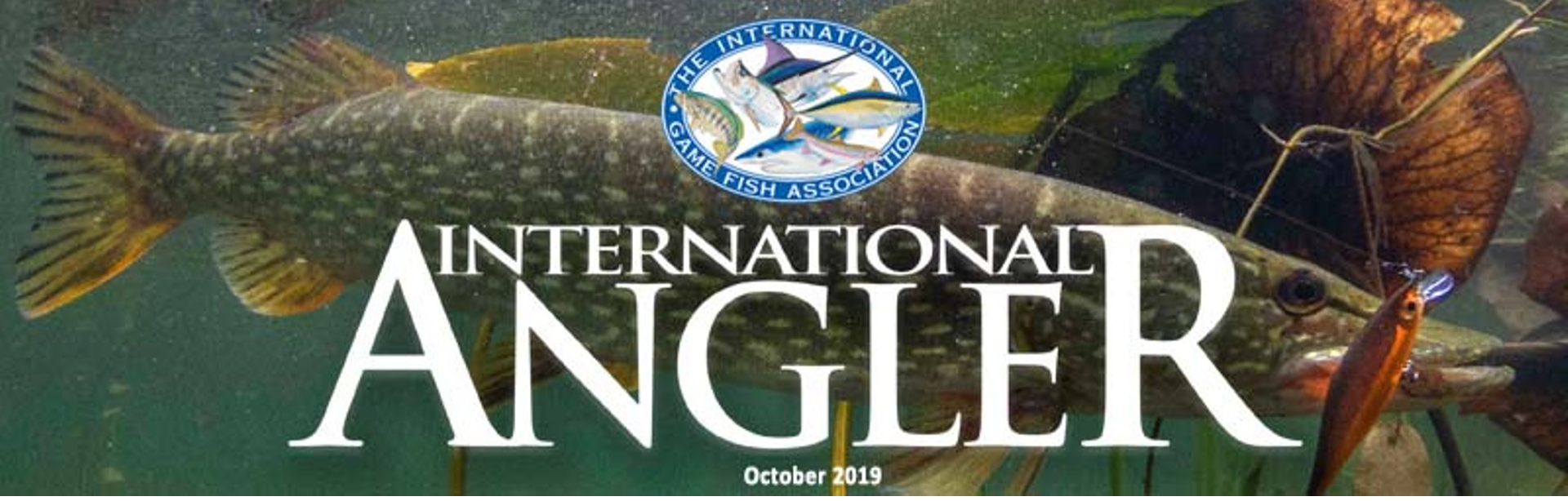 About Us - Anglers International Inc.