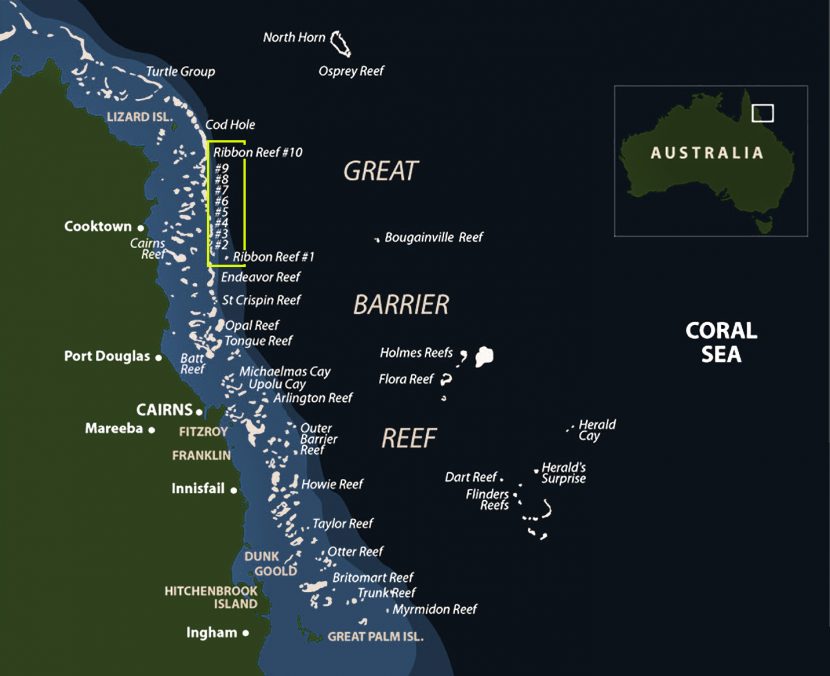 Giants on the Great Barrier Reef