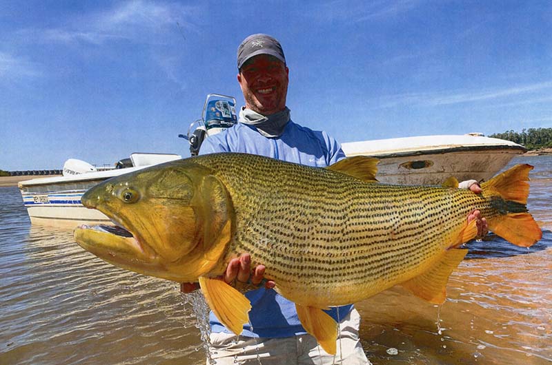 TBT- To this IGFA Men's 4-kg (8lb) Line Class Record brown trout