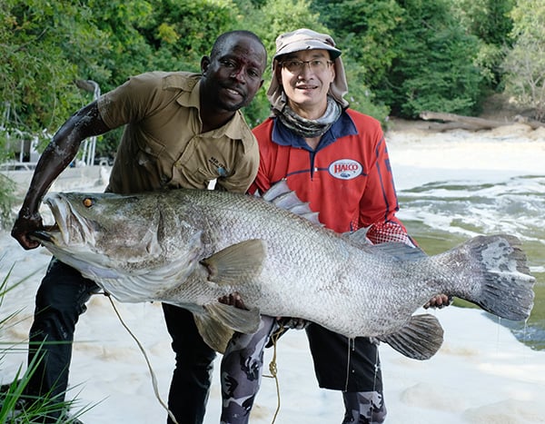 record nile perch