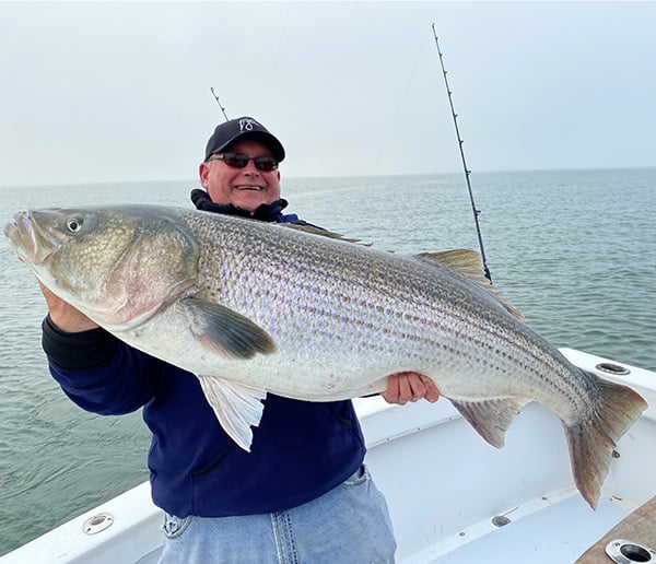 Tournament Angler Catches, Releases Massive Striped Bass