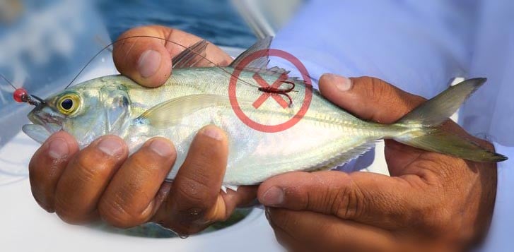 A potential record kingfish was caught in Fort Lauderdale