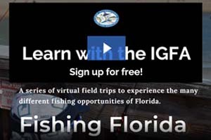 IGFA virtual learning