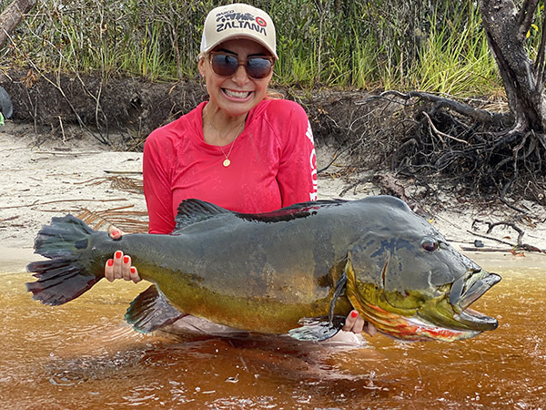 IGFA - Christian Hampl recently had this 11.45-kilogram, (25-pound 4-ounce)  mullet snapper approved as the IGFA Men's 24-kg (50 lb) Line Class Record  for the species. He landed this huge snapper while