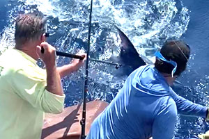 IGFA Great Marlin Race Update for May 2021