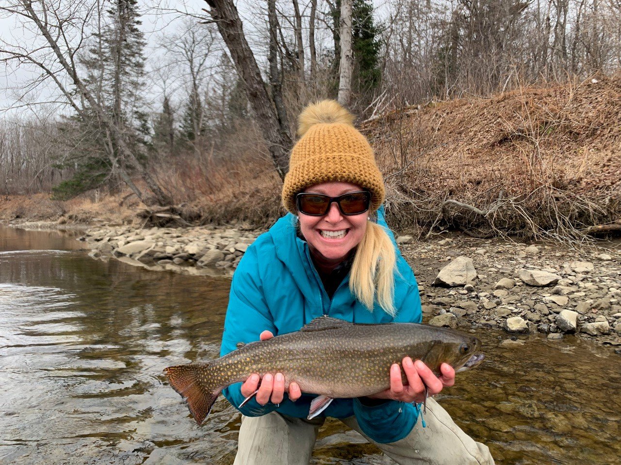 brook trout