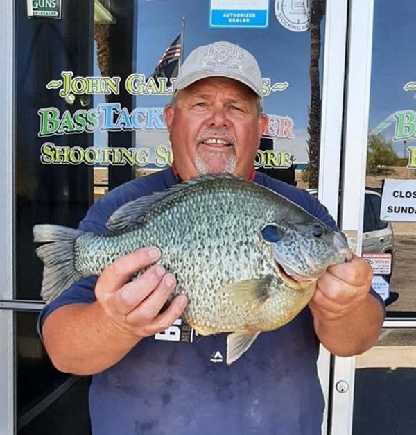 world record bluegill