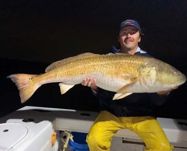 redfish red drum