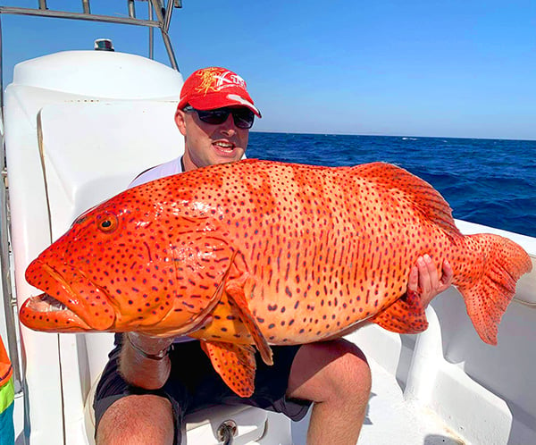 Likely IGFA All-Tackle World Record Vermilion Snapper Is About to get Eaten