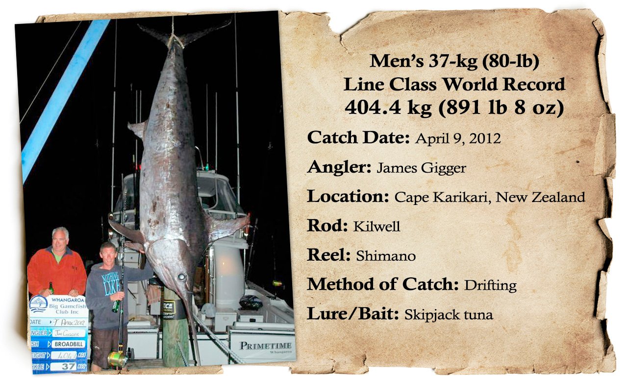 Daytime Swordfishing, Swordfishing Records