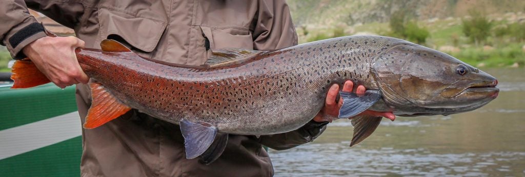 Fishing for Taimen in Siberia's Far East