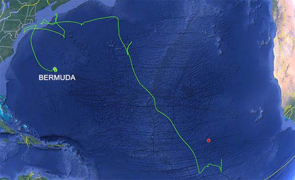 Bermuda track _sample 2022