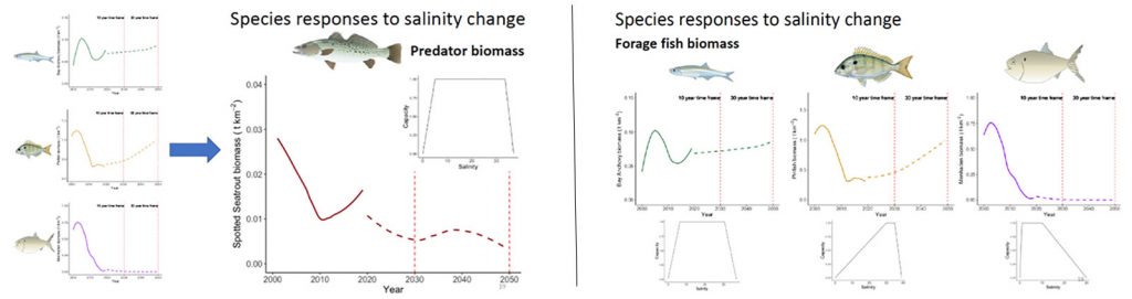 Mid-Atlantic Forage Fish  The Pew Charitable Trusts