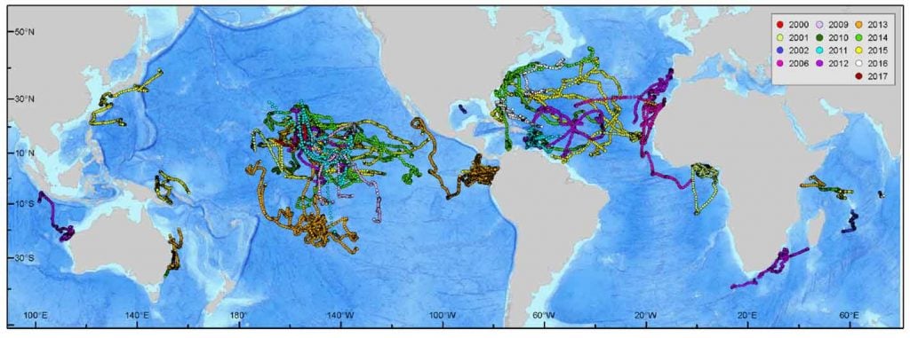 New Blue Marlin Habitat Study – International Game Fish Association