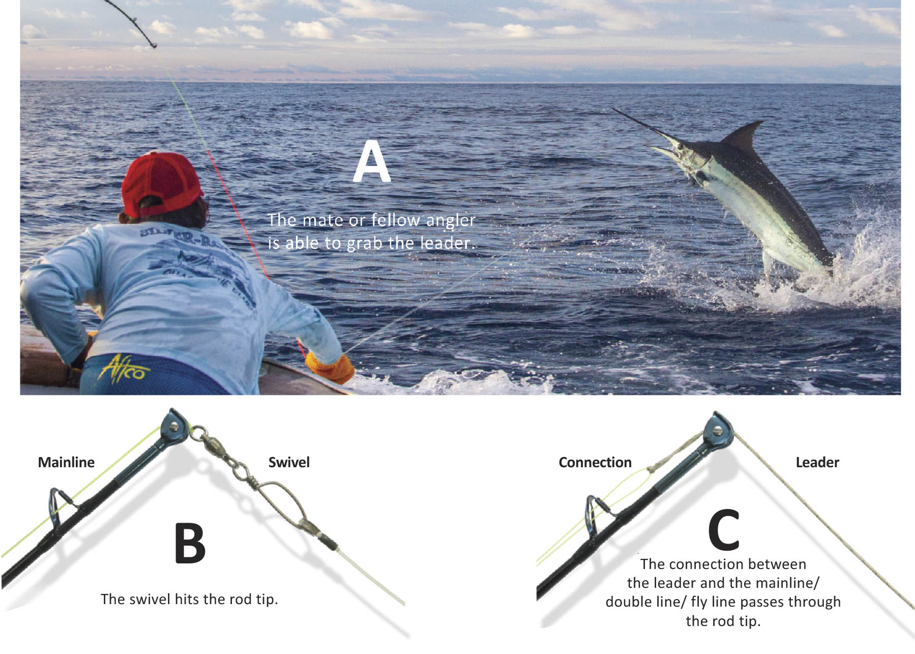 How Long of a Leader is Best for Inshore Fishing? (The Complete Guide) -  FYAO Saltwater Media Group, Inc.