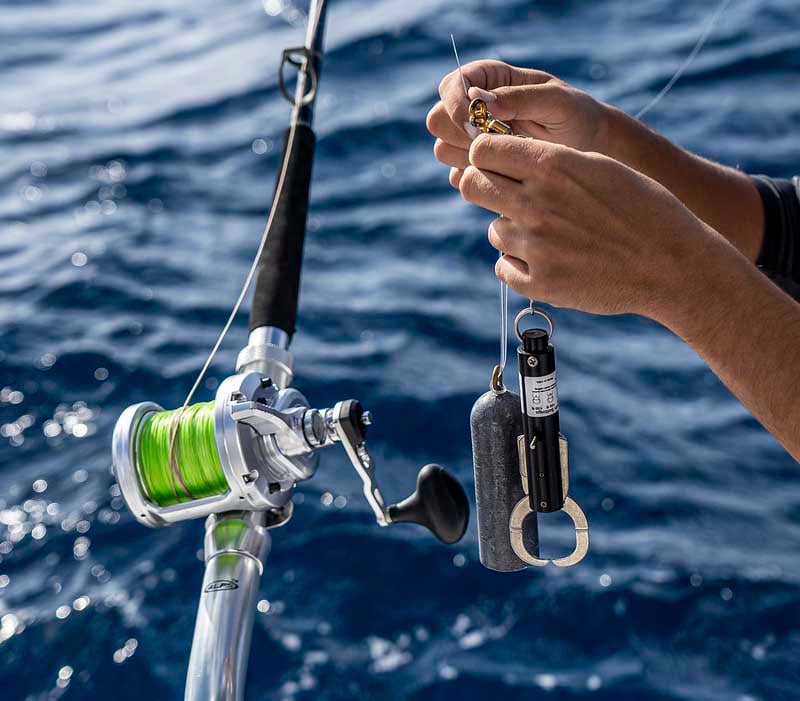 Rigging a descending device and 3-pound weight to a rod and reel before dropping the first bait down. 