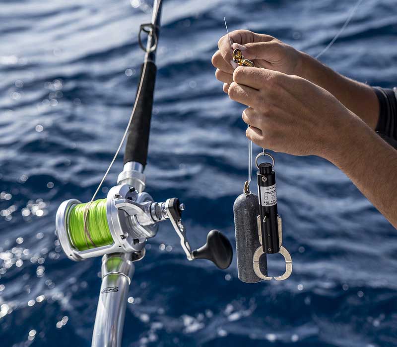 Rigging a descending device and 3-pound weight to a rod and reel before dropping the first bait down. 