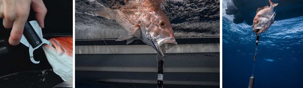 Homemade barotrauma release device, real fishermen don't leave floaters.  Not my invention or photo. : r/Fishing