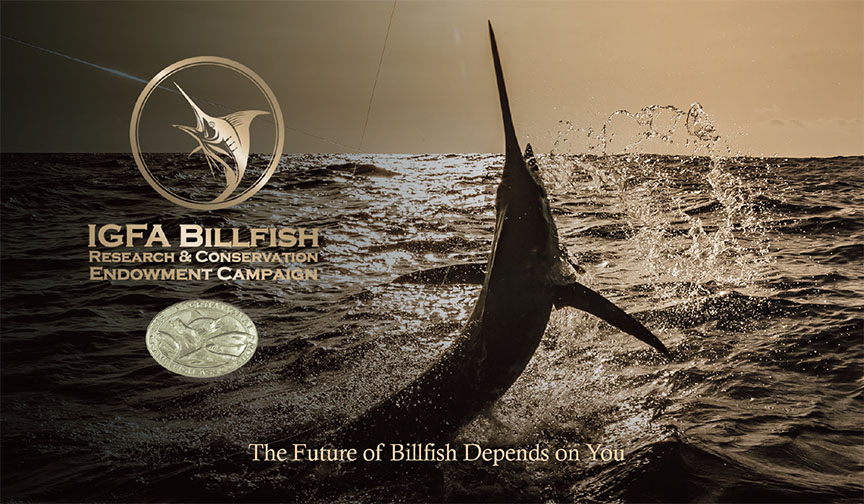 Billfish