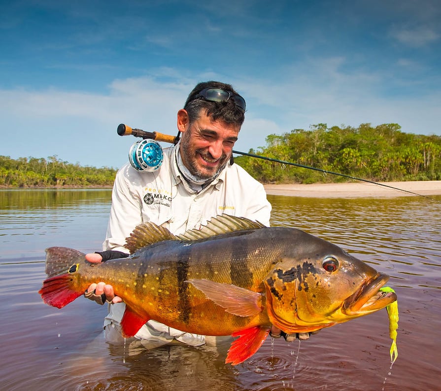 Fly Fishing for Giant Brazilian Peacock Bass - Fly Fisherman