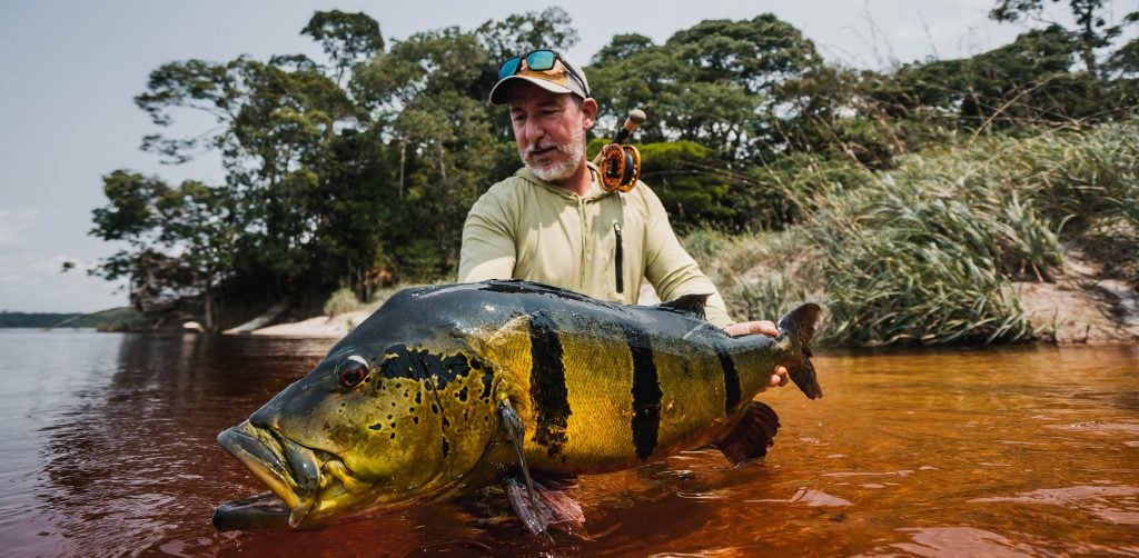 Peacock Bass Fishing In The Blue Lagoon 