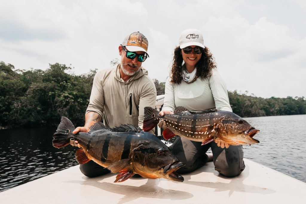 Peacock Bass Fly-fishing Situation – Guímel Cursino shared this Good Image  in Fly dreamers