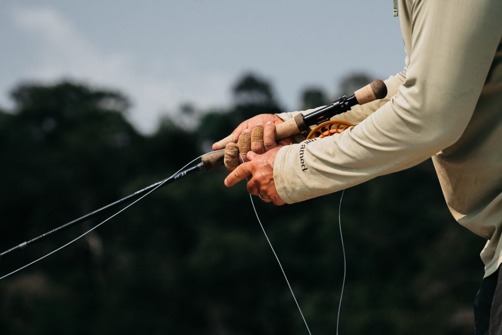 Peacock Bass Fly-fishing Situation – Guímel Cursino shared this Good Image  in Fly dreamers