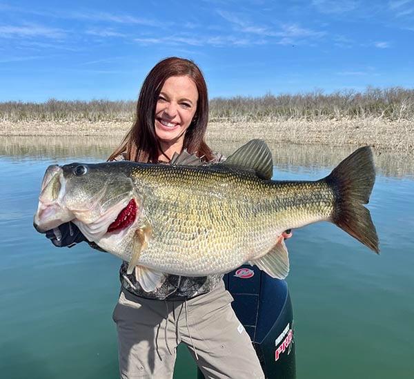 largemouth bass fish