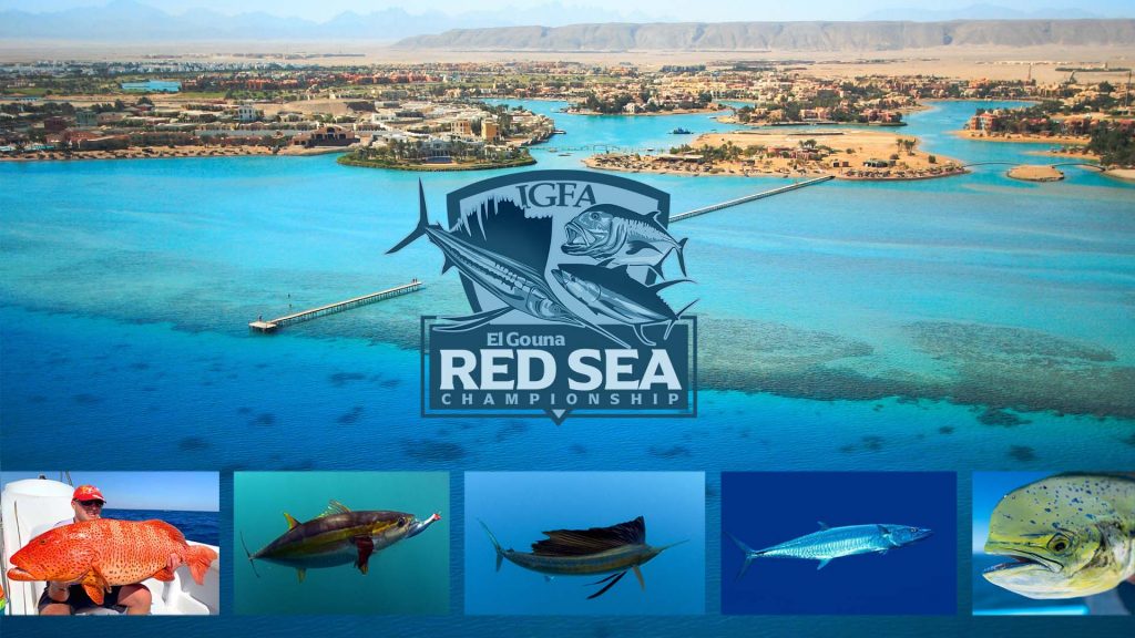 Inaugural IGFA El Gouna Red Sea Championship
