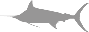 1 Blue MArlin