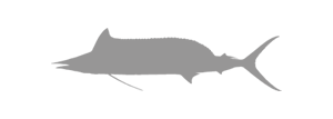 7 SB spearfish