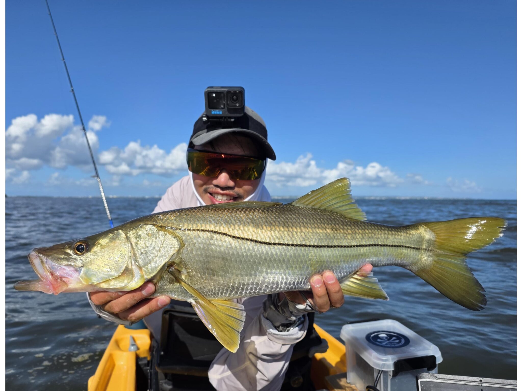 Slam & Trophy Clubs for December 2025 – International Game Fish Association
