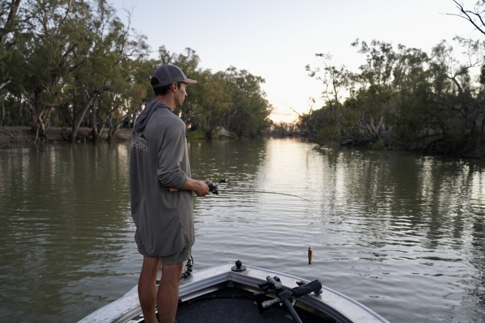 Fishing for Murray Cod: An Australian Freshwater Treasure ...